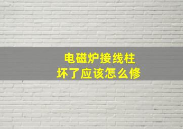 电磁炉接线柱坏了应该怎么修