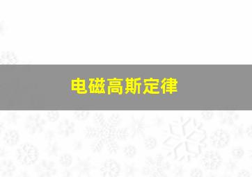 电磁高斯定律