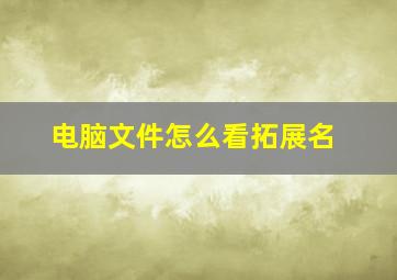 电脑文件怎么看拓展名