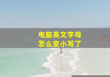 电脑英文字母怎么变小写了