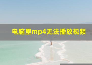 电脑里mp4无法播放视频