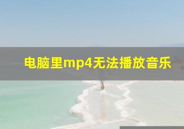 电脑里mp4无法播放音乐