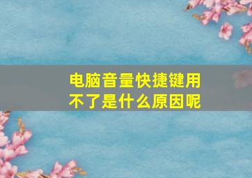 电脑音量快捷键用不了是什么原因呢