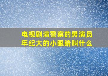 电视剧演警察的男演员年纪大的小眼睛叫什么