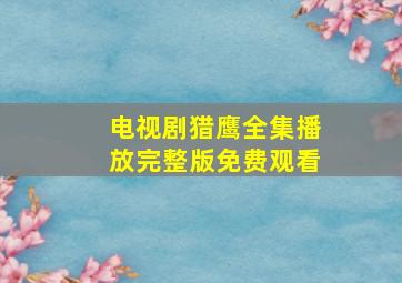 电视剧猎鹰全集播放完整版免费观看