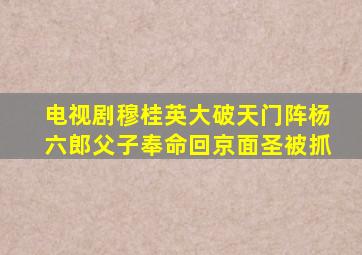 电视剧穆桂英大破天门阵杨六郎父子奉命回京面圣被抓