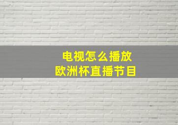 电视怎么播放欧洲杯直播节目