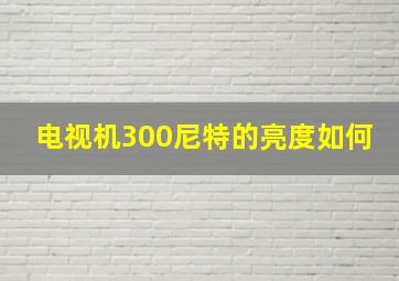 电视机300尼特的亮度如何