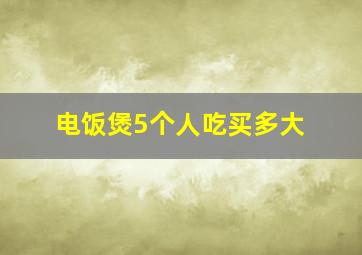 电饭煲5个人吃买多大