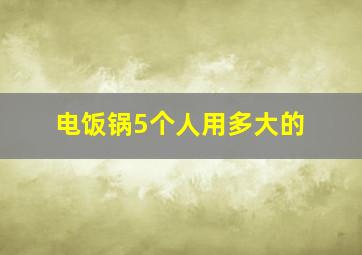 电饭锅5个人用多大的