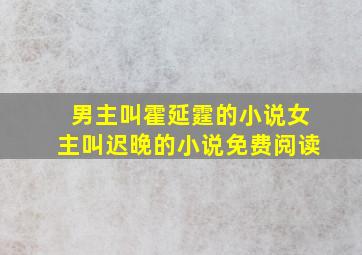 男主叫霍延霆的小说女主叫迟晚的小说免费阅读