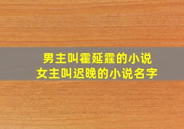 男主叫霍延霆的小说女主叫迟晚的小说名字