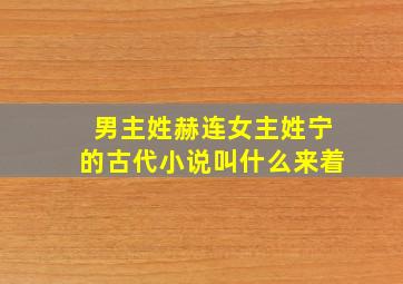 男主姓赫连女主姓宁的古代小说叫什么来着