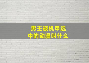 男主被机甲选中的动漫叫什么