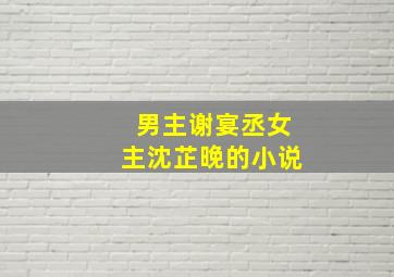 男主谢宴丞女主沈芷晚的小说