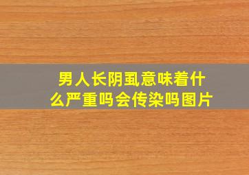 男人长阴虱意味着什么严重吗会传染吗图片