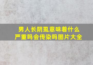 男人长阴虱意味着什么严重吗会传染吗图片大全