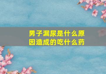 男子漏尿是什么原因造成的吃什么药