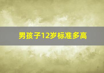 男孩子12岁标准多高