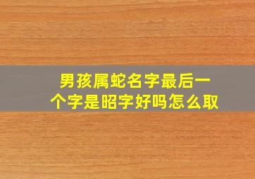 男孩属蛇名字最后一个字是昭字好吗怎么取