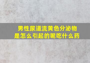 男性尿道流黄色分泌物是怎么引起的呢吃什么药