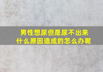 男性想尿但是尿不出来什么原因造成的怎么办呢