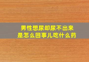 男性想尿却尿不出来是怎么回事儿吃什么药