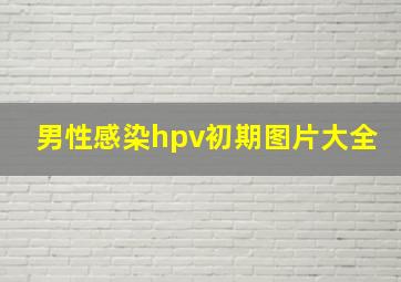 男性感染hpv初期图片大全