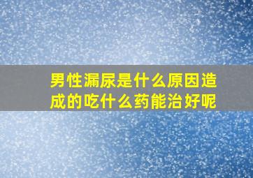 男性漏尿是什么原因造成的吃什么药能治好呢