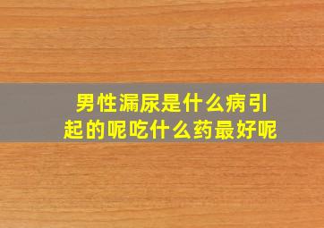 男性漏尿是什么病引起的呢吃什么药最好呢