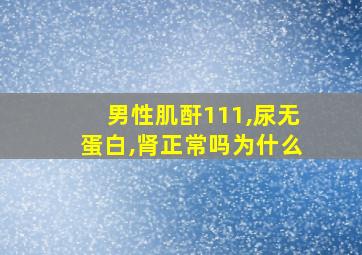 男性肌酐111,尿无蛋白,肾正常吗为什么