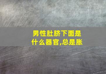 男性肚脐下面是什么器官,总是胀