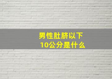 男性肚脐以下10公分是什么