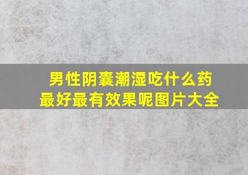 男性阴囊潮湿吃什么药最好最有效果呢图片大全