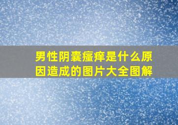 男性阴囊瘙痒是什么原因造成的图片大全图解