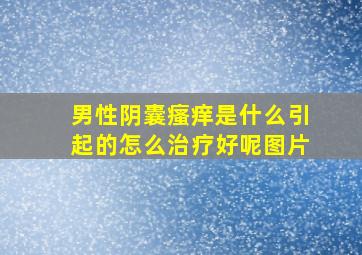 男性阴囊瘙痒是什么引起的怎么治疗好呢图片