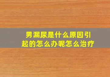 男漏尿是什么原因引起的怎么办呢怎么治疗