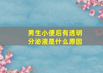 男生小便后有透明分泌液是什么原因