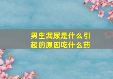 男生漏尿是什么引起的原因吃什么药