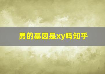 男的基因是xy吗知乎