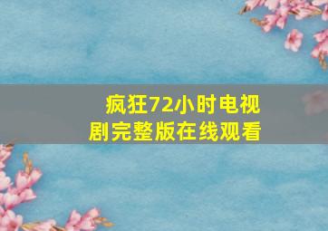 疯狂72小时电视剧完整版在线观看