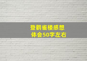 登鹳雀楼感想体会50字左右