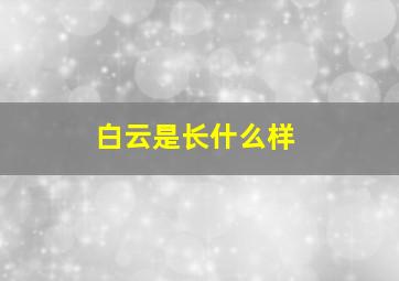 白云是长什么样