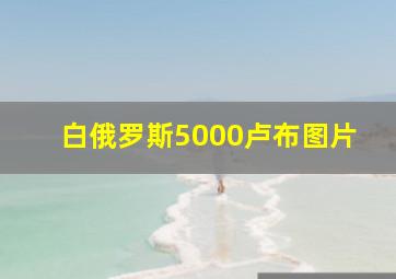 白俄罗斯5000卢布图片