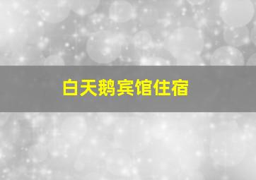 白天鹅宾馆住宿