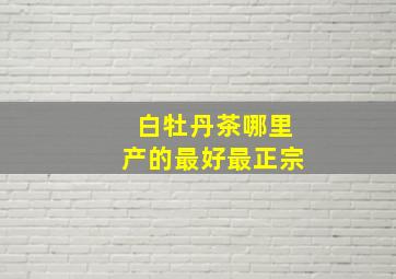 白牡丹茶哪里产的最好最正宗