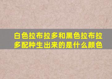 白色拉布拉多和黑色拉布拉多配种生出来的是什么颜色