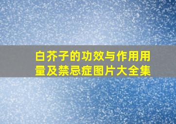 白芥子的功效与作用用量及禁忌症图片大全集