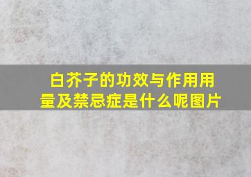 白芥子的功效与作用用量及禁忌症是什么呢图片