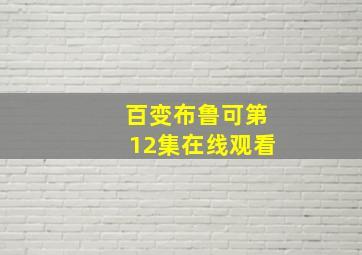 百变布鲁可第12集在线观看